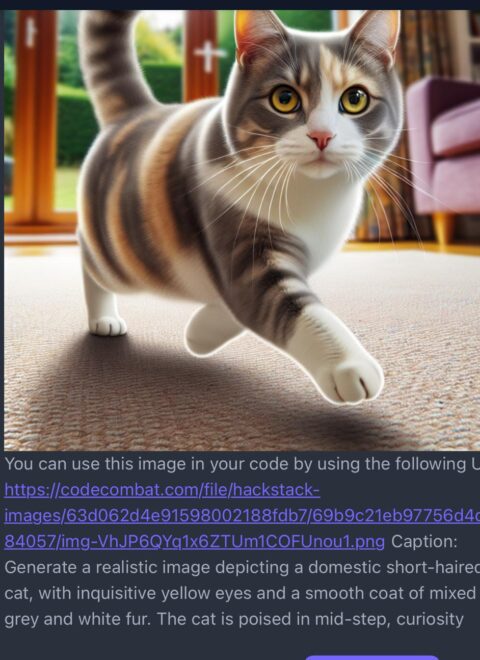WhatsApp Image 2026-08-08 at 7.53.47 PM (1)